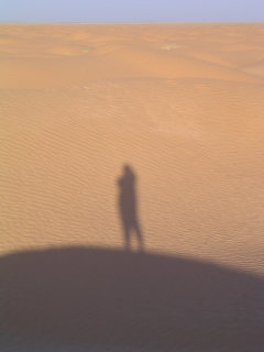 ombre nel deserto