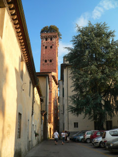 Torre Guinigi e giardino pensile a Lucca