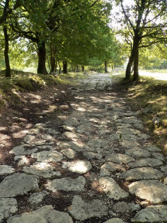 Roman ruins of Carsulae