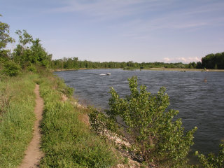 Ticino river